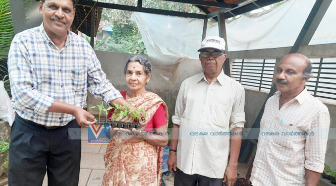 ഒരുക്കാം അടുക്കളത്തോട്ടം; പച്ചക്കറി തൈകള്‍ വിതരണം ചെയ്തു