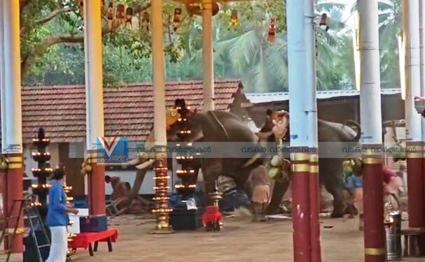 കൊയിലാണ്ടിയില്‍ ക്ഷേത്രോത്സവത്തിനിടെ ആനകള്‍ വിരണ്ടു; തിക്കിലും തിരക്കിലുംപെട്ട് മൂന്ന് മരണം, നിരവധി പേര്‍ക്ക് പരിക്ക്
