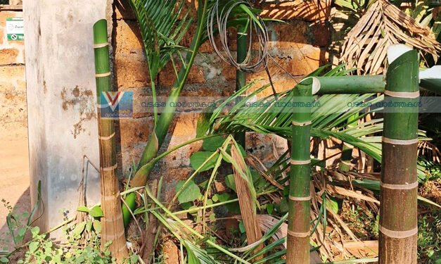 കാര്‍ഷിക വിളകള്‍ വെട്ടിനശിപ്പിച്ചു; അന്വേഷണം വേണമെന്ന് കര്‍ഷക സംഘം