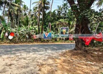 കാഴ്ച മറയ്ക്കുന്ന പടുമരം; കോട്ടപ്പള്ളിയില്‍ അപകടം പതിയിരിക്കുന്നു