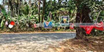 കാഴ്ച മറയ്ക്കുന്ന പടുമരം; കോട്ടപ്പള്ളിയില്‍ അപകടം പതിയിരിക്കുന്നു