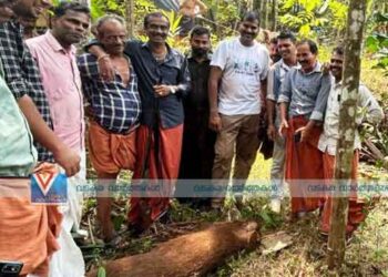 കിണറ്റില്‍ വീണ കാട്ടു പന്നിയെ വെടിവെച്ചു കൊന്നു