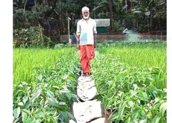 പത്മനാഭന്റെ കൃഷിപ്പാടത്ത് എല്ലാം സുലഭം