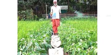 പത്മനാഭന്റെ കൃഷിപ്പാടത്ത് എല്ലാം സുലഭം