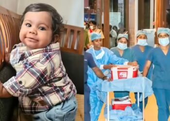 ആലിന്‍ വിടപറഞ്ഞു 4 കുരുന്നുകള്‍ക്ക് പുതുജീവനേകി