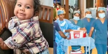 ആലിന്‍ വിടപറഞ്ഞു 4 കുരുന്നുകള്‍ക്ക് പുതുജീവനേകി