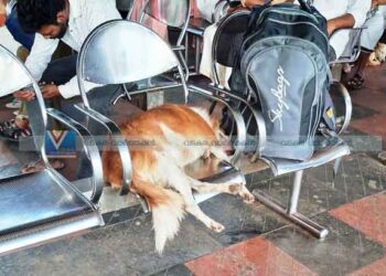 ദയവ് ചെയ്ത് ശല്യപ്പെടുത്തരുത്; ഞാന്‍ ഉറങ്ങുകയാണ്