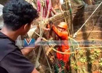 കിണറില്‍ വീണ ആട്ടിന്‍കുട്ടികളെ രക്ഷപ്പെടുത്തി