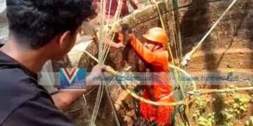 കിണറില് വീണ ആട്ടിന്കുട്ടികളെ രക്ഷപ്പെടുത്തി