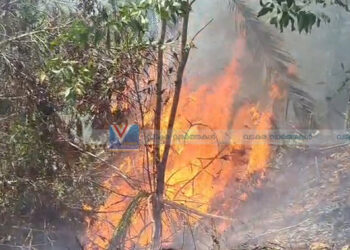 വെള്ളാറമലയിലും മേപ്പയിലും അടിക്കാടിനു തീപിടിച്ചു