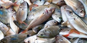 മത്സ്യസമ്പത്ത് ഭീഷണിയില്‍