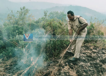 തണ്ണീര്‍ മലയിലെ തീപിടിത്തം ആശങ്ക പരത്തി