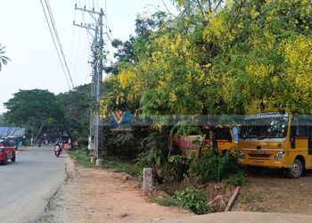 വിഷുവിനു മുമ്പേ കണിക്കൊന്ന പൂത്തുലഞ്ഞു