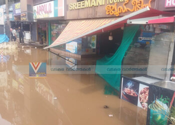 ദേശീയ പാതയിലെ വെള്ളക്കെട്ട്: പ്രശ്‌നപരിഹാരം തേടി താലൂക്ക് വികസന സമിതി
