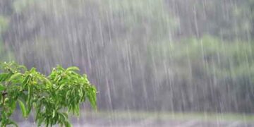 ജാഗ്രത വേണം; ബുധനാഴ്ച വരെ ഇടിമിന്നലോട് കൂടിയ മഴക്ക് സാധ്യത
