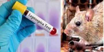 എലിപ്പനിക്കെതിരെ ജാഗ്രത വേണം;  ബോധവത്കരണ ജാഥയുമായി ആരോഗ്യവകുപ്പ്‌