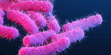 കോഴിക്കോട് മൂന്നര വയസുകാരി ഷിഗെല്ല ബാധിച്ച് മരിച്ചു; മൂന്ന് കുട്ടികൾക്ക് രോഗലക്ഷണം