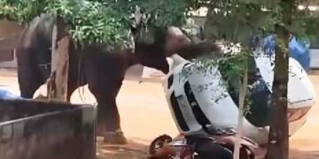 രണ്ടിടത്ത് ആന ഇടഞ്ഞു; രണ്ടു പേര്‍ മരിച്ചു