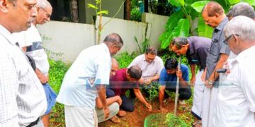 ഒരു തൈ നടാം നല്ല നാളേക്കായി; പരിസ്ഥിതി ദിനം ആചരിച്ച് യൂനിറ്റി