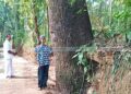 പരിസ്ഥിതി ദിനത്തില്‍ നൂറ്റാണ്ടിലേറെ പഴക്കുള്ള വൃക്ഷത്തിന് ആദരം