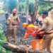 പോലീസ് സ്റ്റേഷനു മുന്നിലെ മരം മുറിഞ്ഞു വീണു
