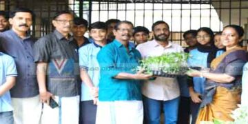 ഇത്തവണ ഓണത്തിന് ചെണ്ടുമല്ലി പൂത്തുലയും