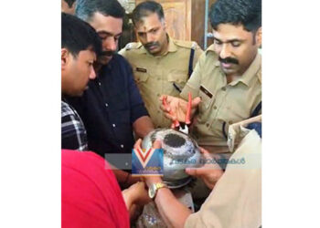 പാത്രത്തില്‍ തല കുടുങ്ങി; കരഞ്ഞെത്തിയ ആലിയ ചിരി തൂകി മടങ്ങി