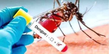 സംസ്ഥാനം പകര്ച്ചവ്യാധികളുടെ പിടിയില്; ഡെങ്കിയും ഷിഗെല്ലയും പടരുന്നു