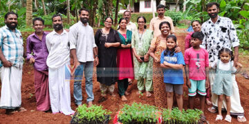 ഇത്തവണ ഓണത്തിന് ചെണ്ടുമല്ലി പൂത്തുലയും