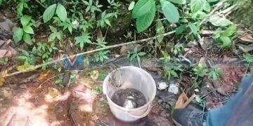 ചെക്യാട് 2 സ്റ്റീല്‍ ബോംബുകള്‍ കണ്ടെത്തി