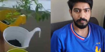 കിടപ്പുമുറിക്ക് സമീപം കഞ്ചാവ് കൃഷി; ഐടി മാനേജര്‍ പിടിയില്‍