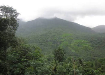 വിലങ്ങാട് മലയില്‍ മൂന്ന് പേര്‍ കുടുങ്ങിയതായി സംശയം; തെരച്ചല്‍ തുടങ്ങി