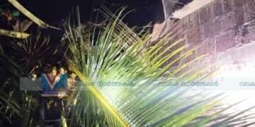 അരൂരില്‍ തെങ്ങ് വീണ് വീടിന് നാശം