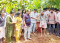 ജൈവ മുത്താറി കൃഷിക്ക് തുടക്കം