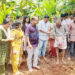 ജൈവ മുത്താറി കൃഷിക്ക് തുടക്കം