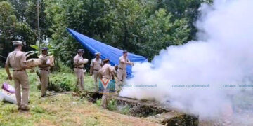 കേസ് കഴിഞ്ഞു; ലഹരി വസ്തുക്കള്‍ പോലീസ് കൂട്ടിയിട്ട് കത്തിച്ചു