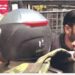 പോലീസുകാരന്റെ മുഖത്തടിച്ച സംഭവം: കെ.എസ്.യു ജില്ലാ പ്രസിഡന്റിനെതിരെ കേസെടുത്തു