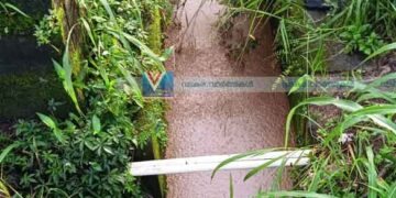 അക്ലോത്ത് നട പാലത്തിന് സമീപം കക്കൂസ് മാലിന്യം തള്ളി; പരിസരം ദുര്ഗന്ധത്തിന്റെ പിടിയില്