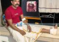 അരൂര്‍ മേഖലയില്‍ കാട്ടുപന്നി വിളയാട്ടം; അക്രമത്തില്‍ ഒരാള്‍ക്ക് പരിക്ക്, ജനം പൊറുതി മുട്ടി