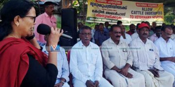 കേറ്റില്‍ പാസേജ് വിഷയം സര്‍ക്കാറുകളുടെ ശ്രദ്ധയില്‍പ്പെടുത്തി: കെ.കെ.രമ എംഎല്‍എ