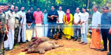 വാണിമേലില് ‘മിഷന് ഷാര്പ്പ്’, കാട്ടുപന്നി വേട്ട തുടങ്ങി