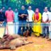 വാണിമേലില് ‘മിഷന് ഷാര്പ്പ്’, കാട്ടുപന്നി വേട്ട തുടങ്ങി