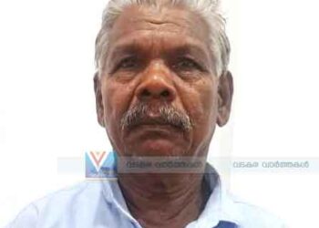 ബാലികയെ ശല്യം ചെയ്ത കേസ്: വയോധികന് 10 വര്‍ഷം കഠിന തടവും പിഴയും