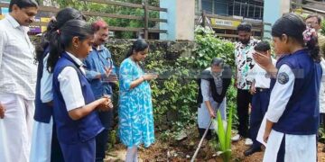 നാളികേര ദിനത്തില് തെങ്ങിന്തൈ നട്ടു