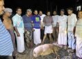 നാടിനെ ഭീതിയിലാഴ്ത്തിയ കാട്ടുപന്നിയെ വെടിവെച്ച് കൊന്നു