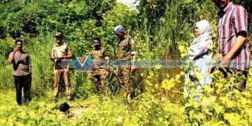 പുലി ഇറങ്ങിയെന്ന് അഭ്യൂഹം: ആയഞ്ചേരിയില്‍ ഡ്രോണ്‍ പരിശോധന