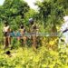 പുലി ഇറങ്ങിയെന്ന് അഭ്യൂഹം: ആയഞ്ചേരിയില് ഡ്രോണ് പരിശോധന