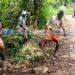 പുലിപ്പേടിയില്‍ കുമ്മങ്കോട്; മാതൃകയായി മൂന്ന് കര്‍ഷകതൊഴിലാളികള്‍