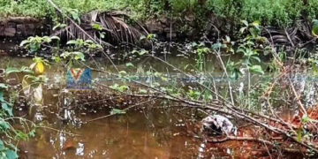 ജലാശയം നികത്തുന്നത് തടഞ്ഞു
