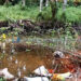 ജലാശയം നികത്തുന്നത് തടഞ്ഞു
